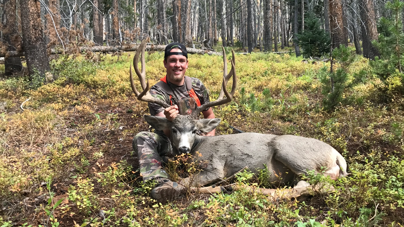 5 Tips for hunting mule deer in the velvet