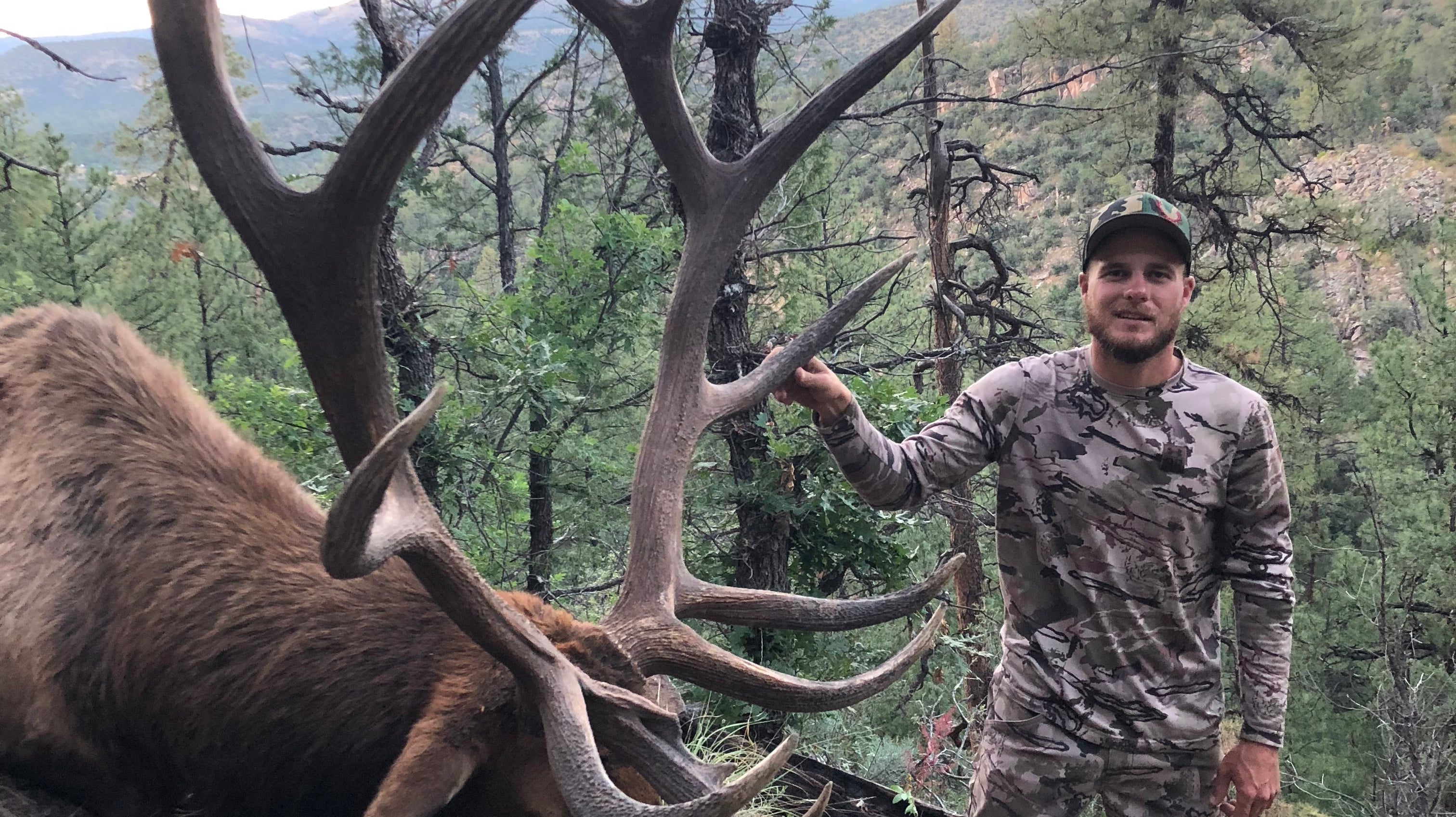 Top 5 Archery Elk Units In Arizona