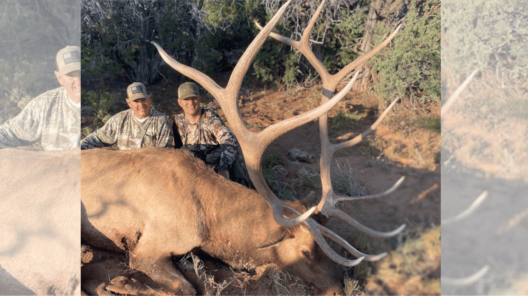 Prime Time Rut Calling Tactics & Set Ups
