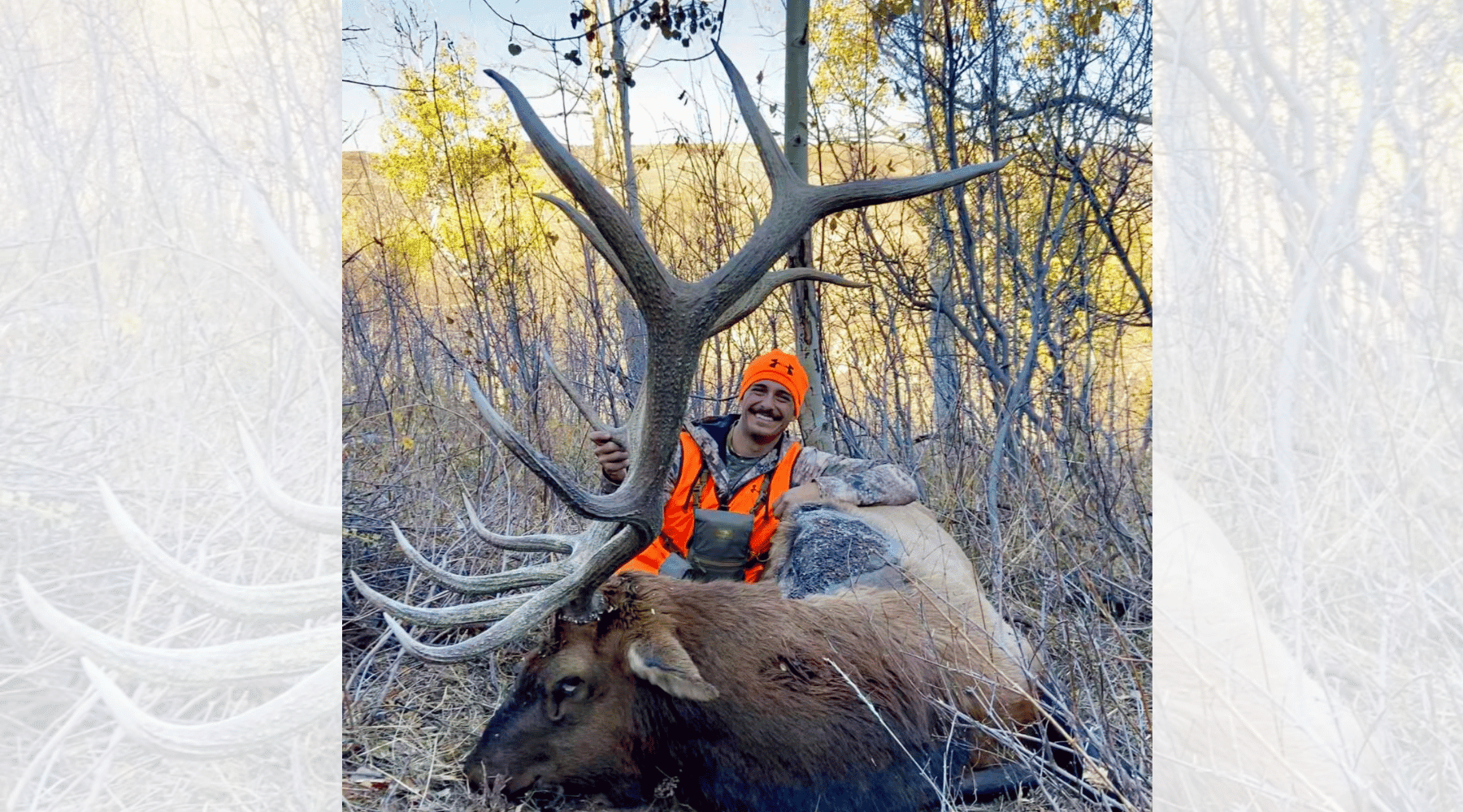 Co Founder Shane with his Colorado Bull Elk