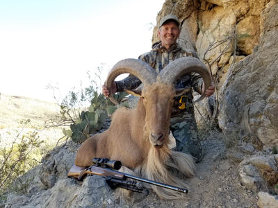 Texas Aoudad Hunt Entires
