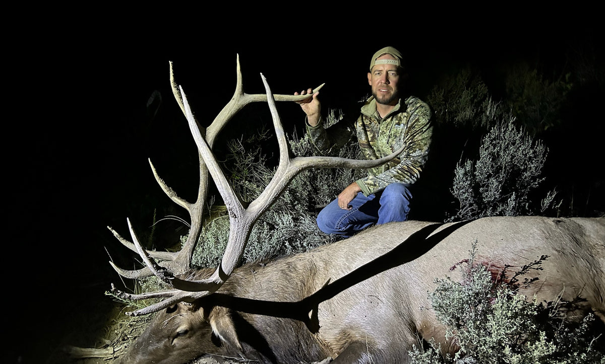 New Mexico Unit 2 archery bull elk