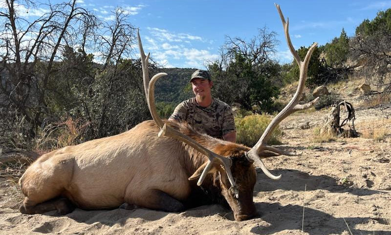 New Mexico Unit 2 bull elk