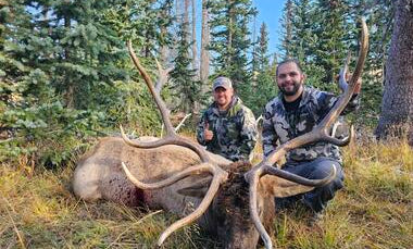 New Mexico Unit 45 bull elk