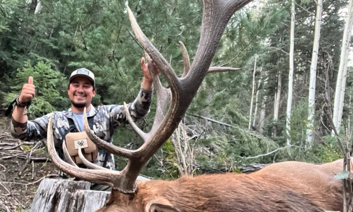 New Mexico Unit 5B archery bull elk