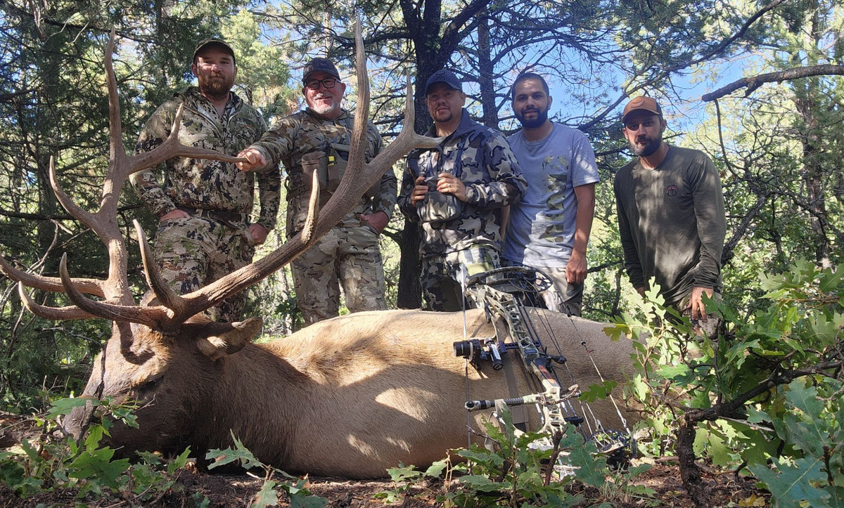 New Mexico Unit 6A archery ranch bull elk