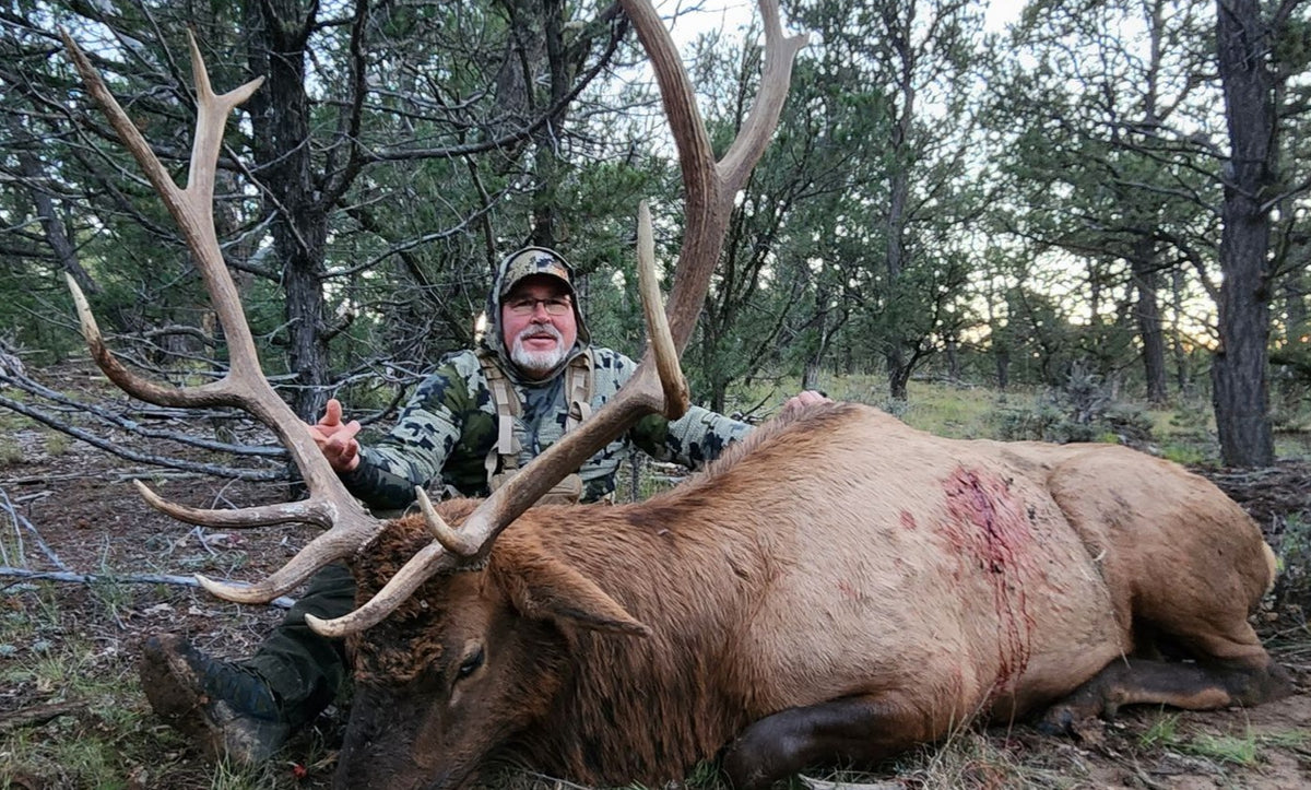 New Mexico Unit 6A rifle bull elk