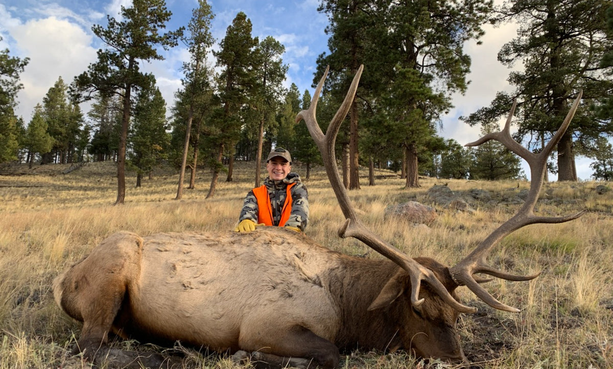 New Mexico Unit 6A bull elk