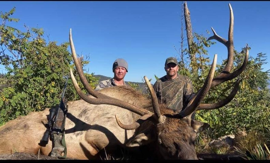 New Mexico Unit 6C bull elk