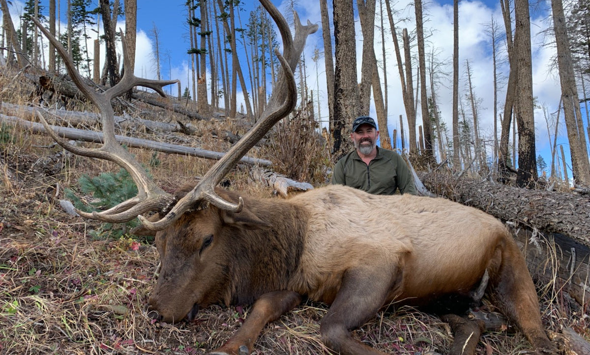 New Mexico Unit 6C bull elk