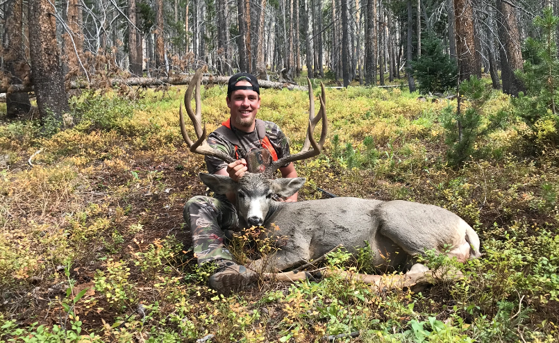 5 Tips for hunting mule deer in the velvet