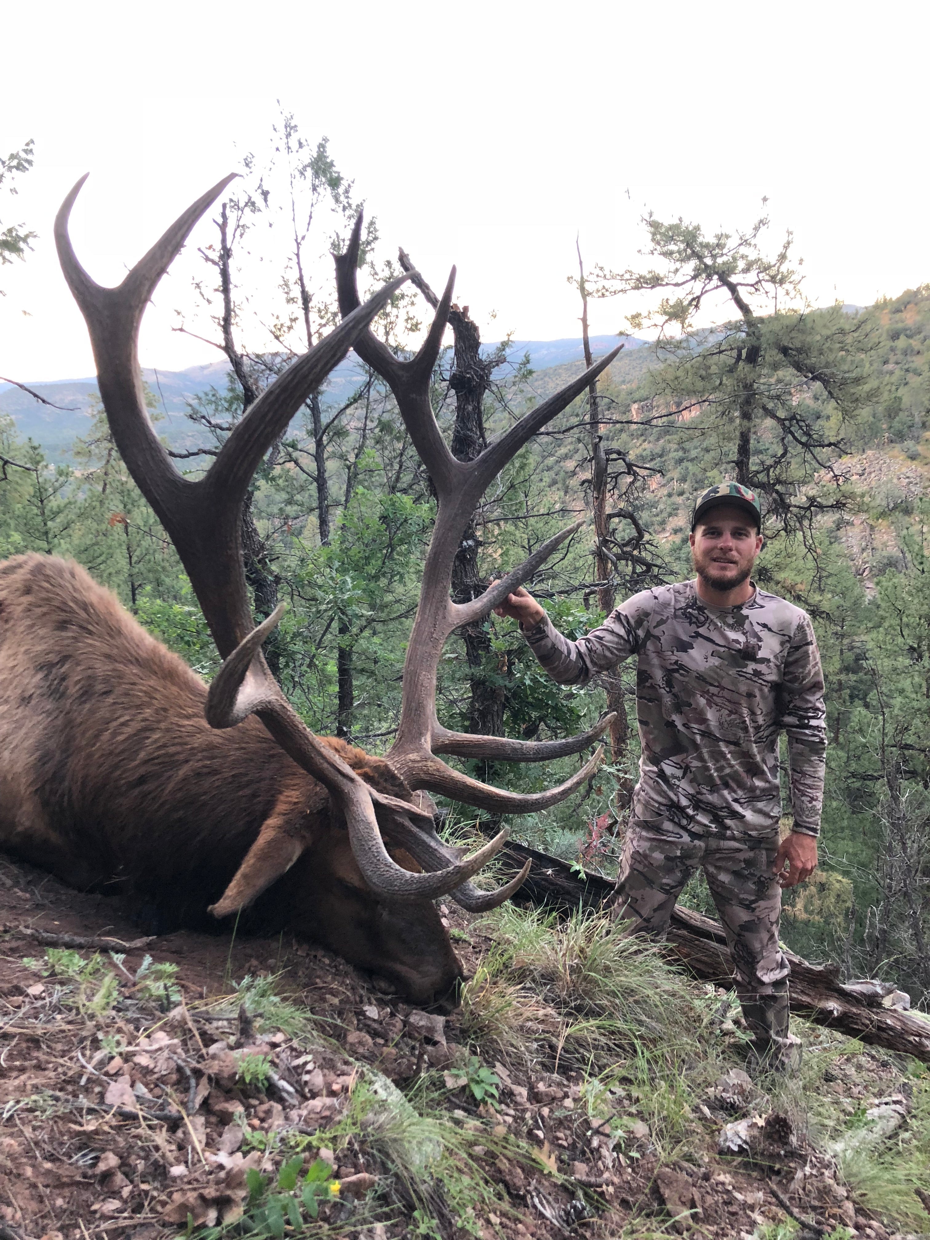 Top 5 Archery Elk Units In Arizona