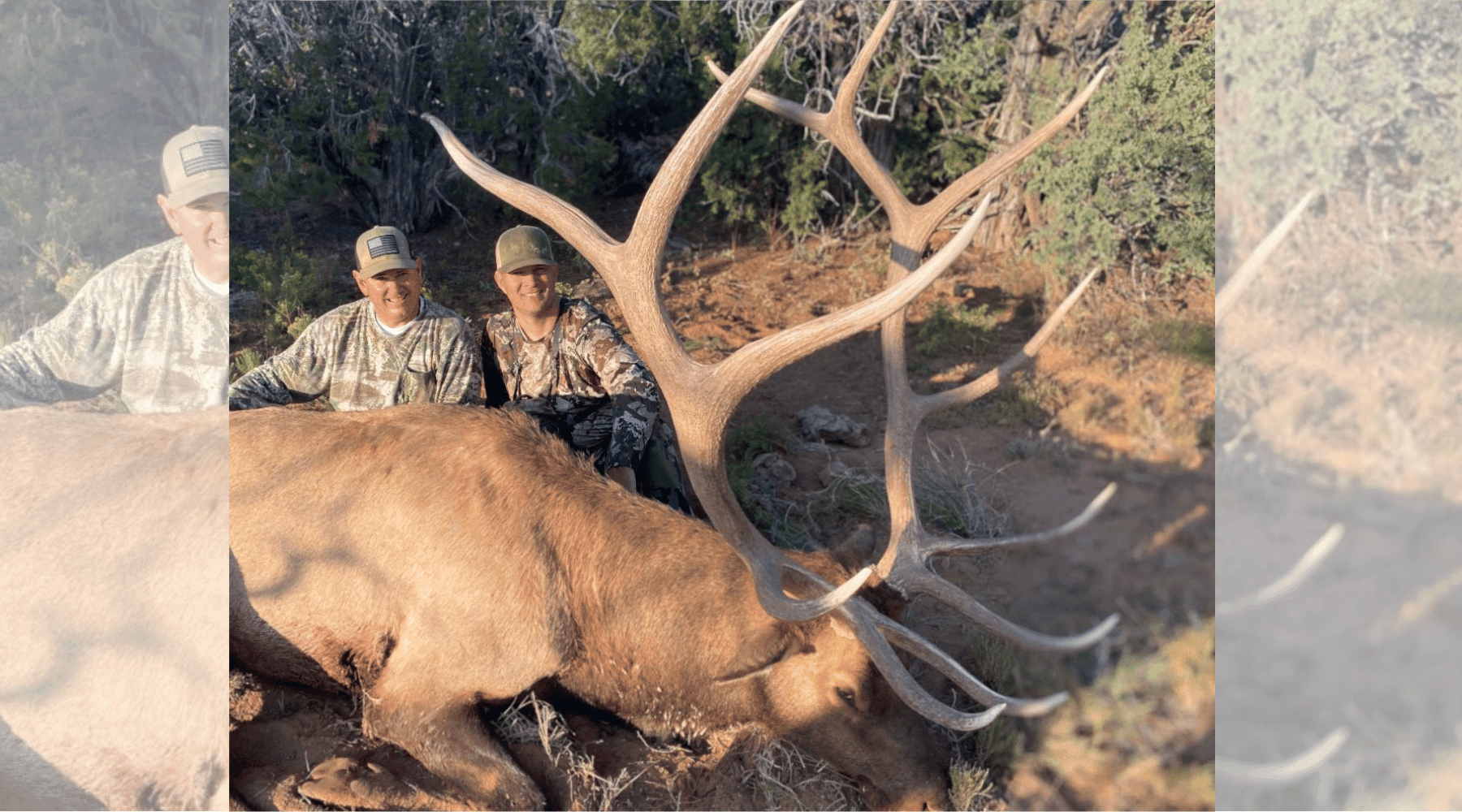 Prime Time Rut Calling Tactics & Set Ups