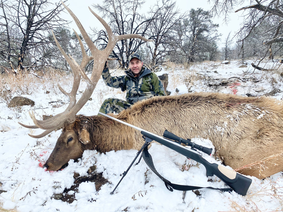 Texas Elk