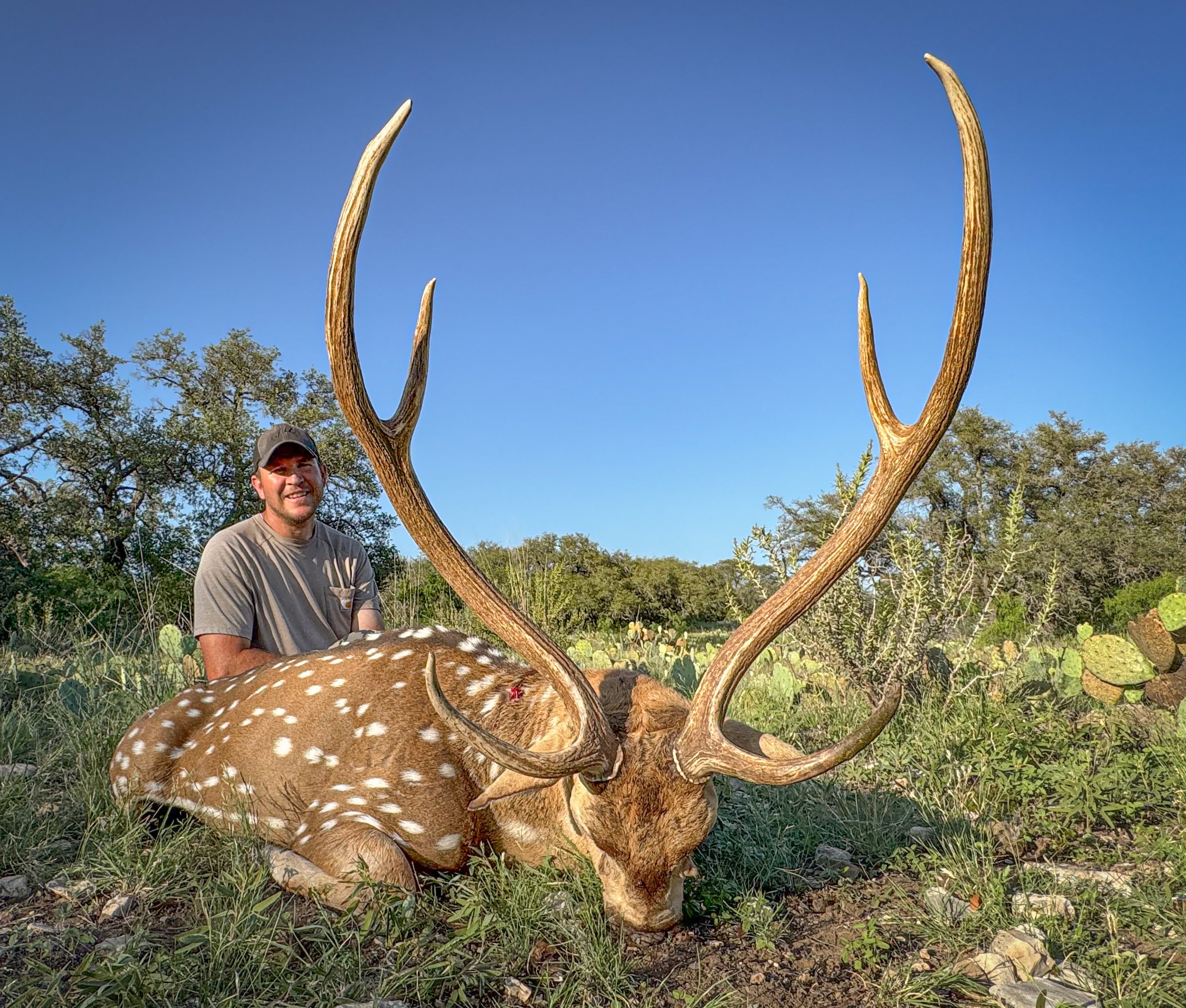 Texas Premium Exotics