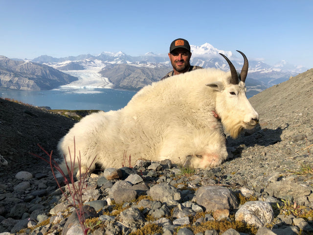 Mountain Goat