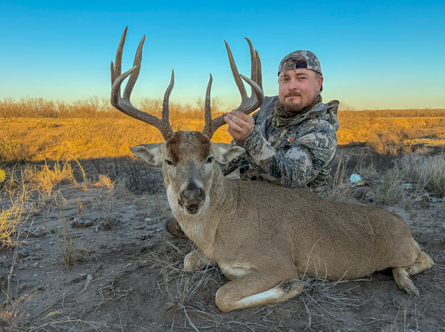 Whitetail