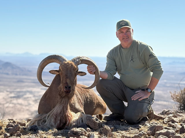 Aoudad