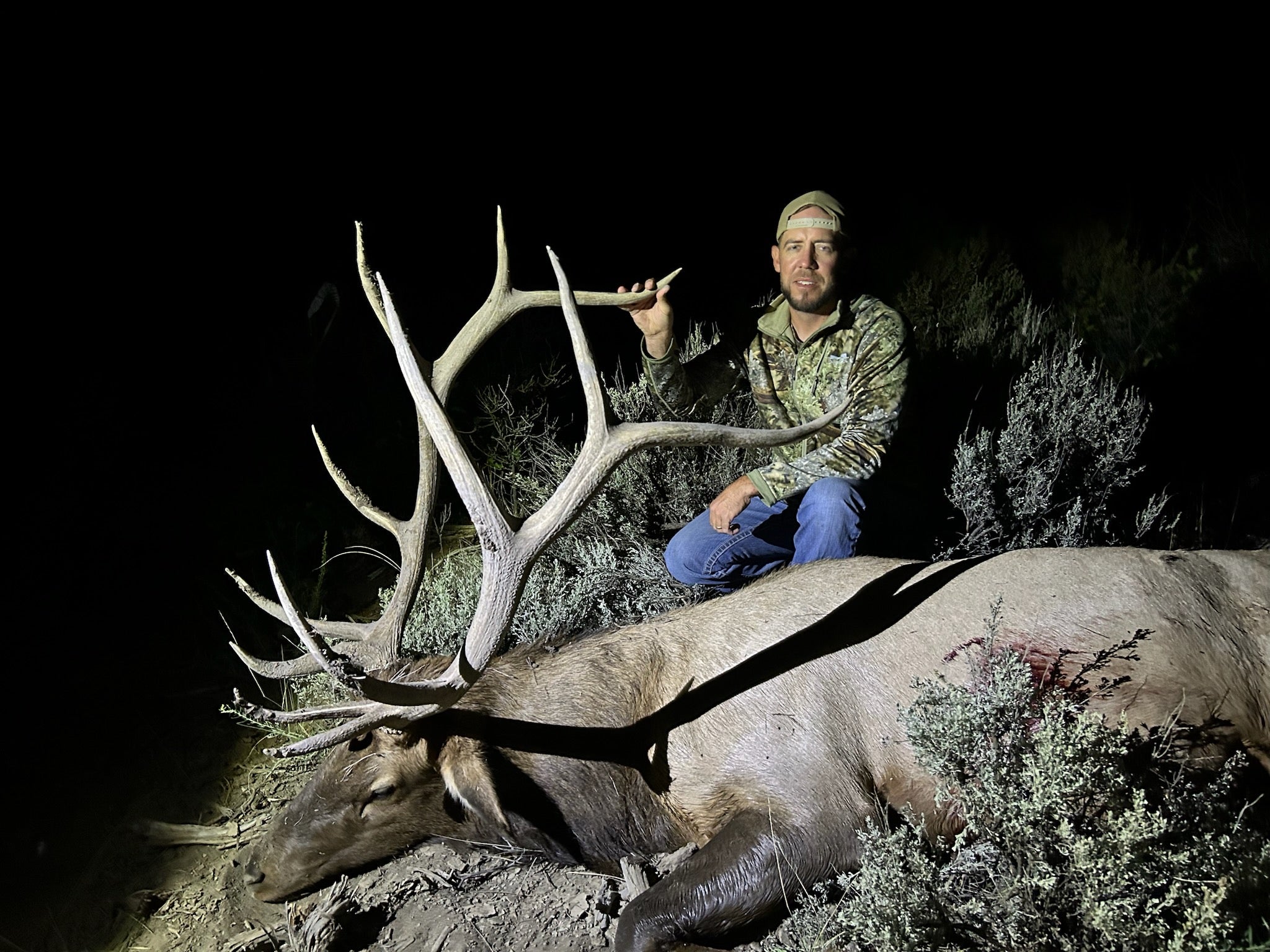 New Mexico Unit 2 archery bull elk