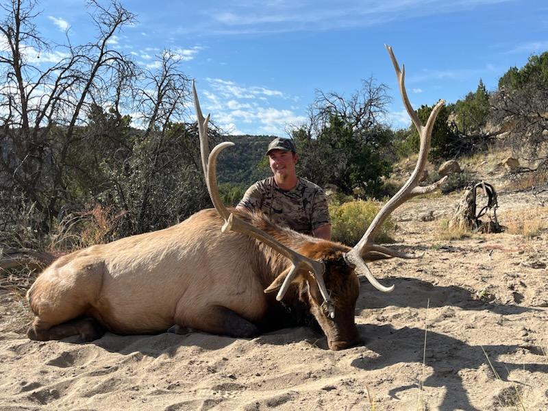 New Mexico Unit 2 bull elk