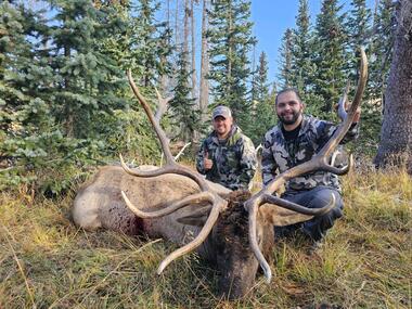New Mexico Unit 45 bull elk