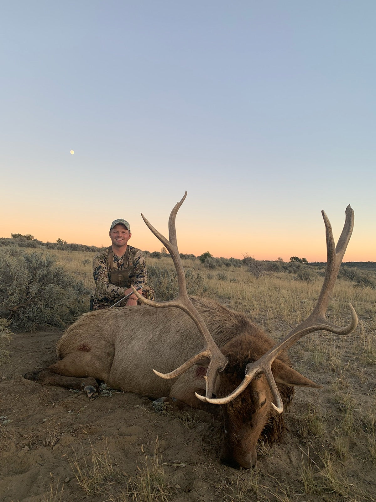 New Mexico Unit 5A ranch bull elk