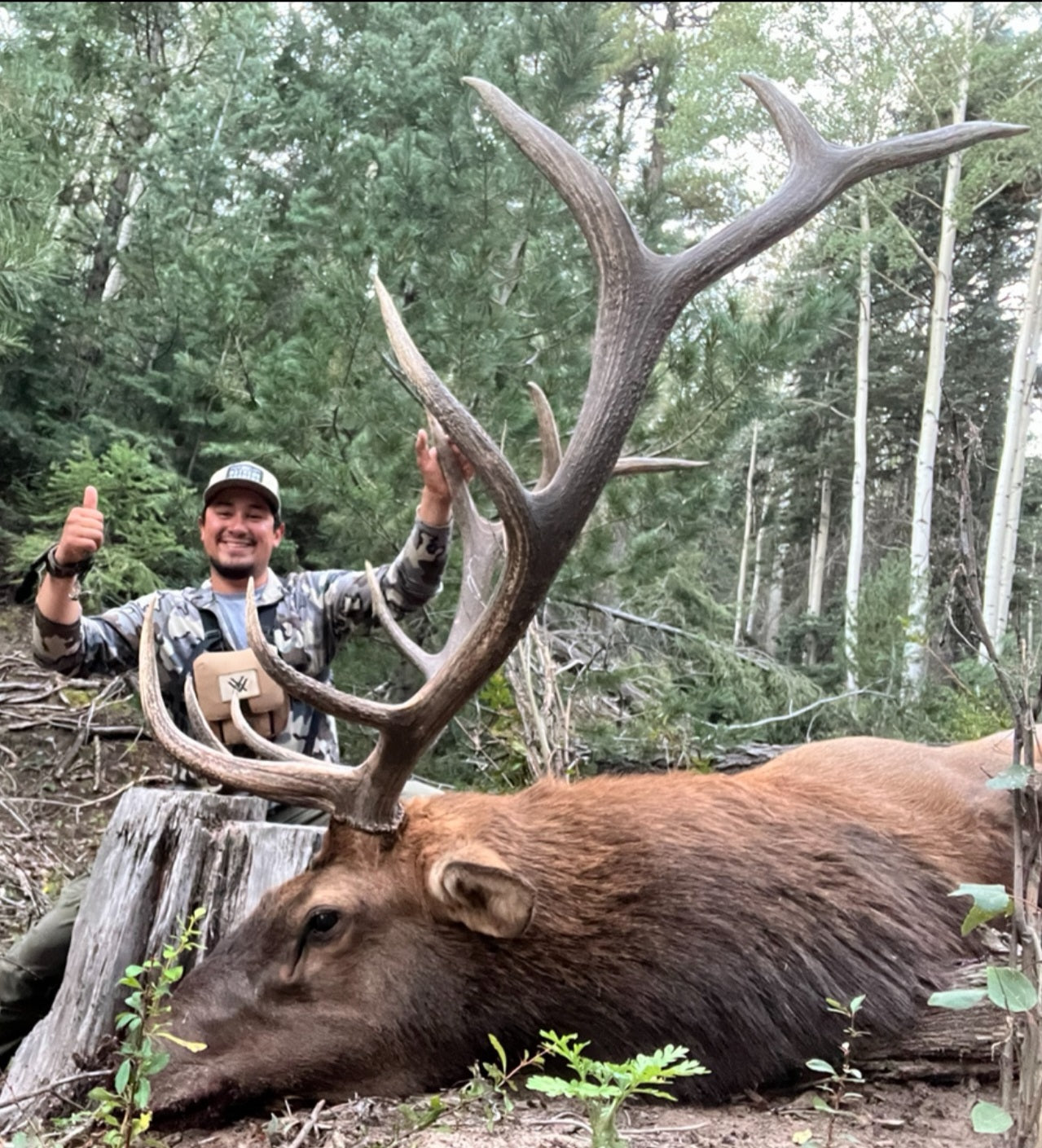 New Mexico Unit 5B archery bull elk
