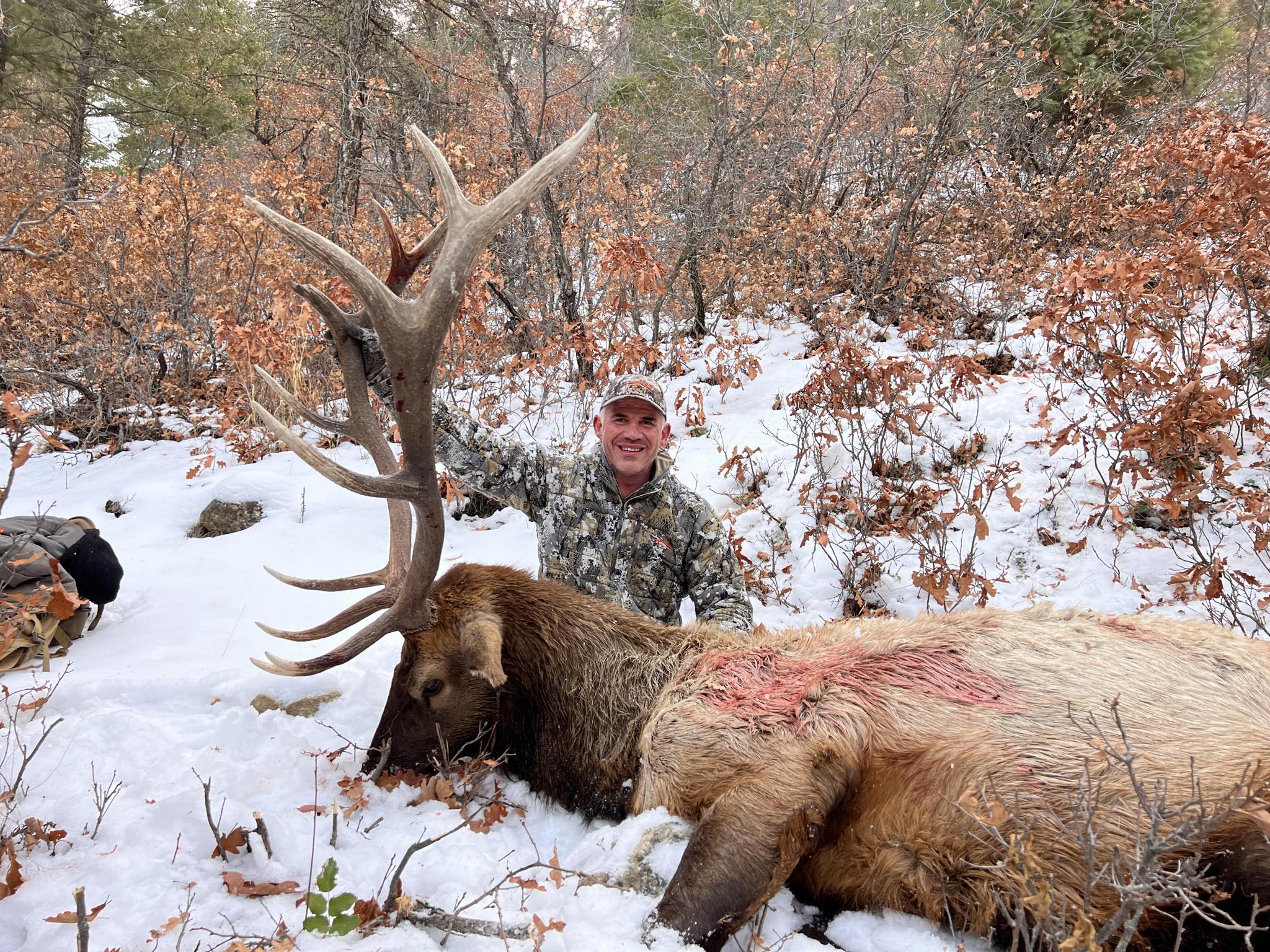 New Mexico Unit 5B bull elk