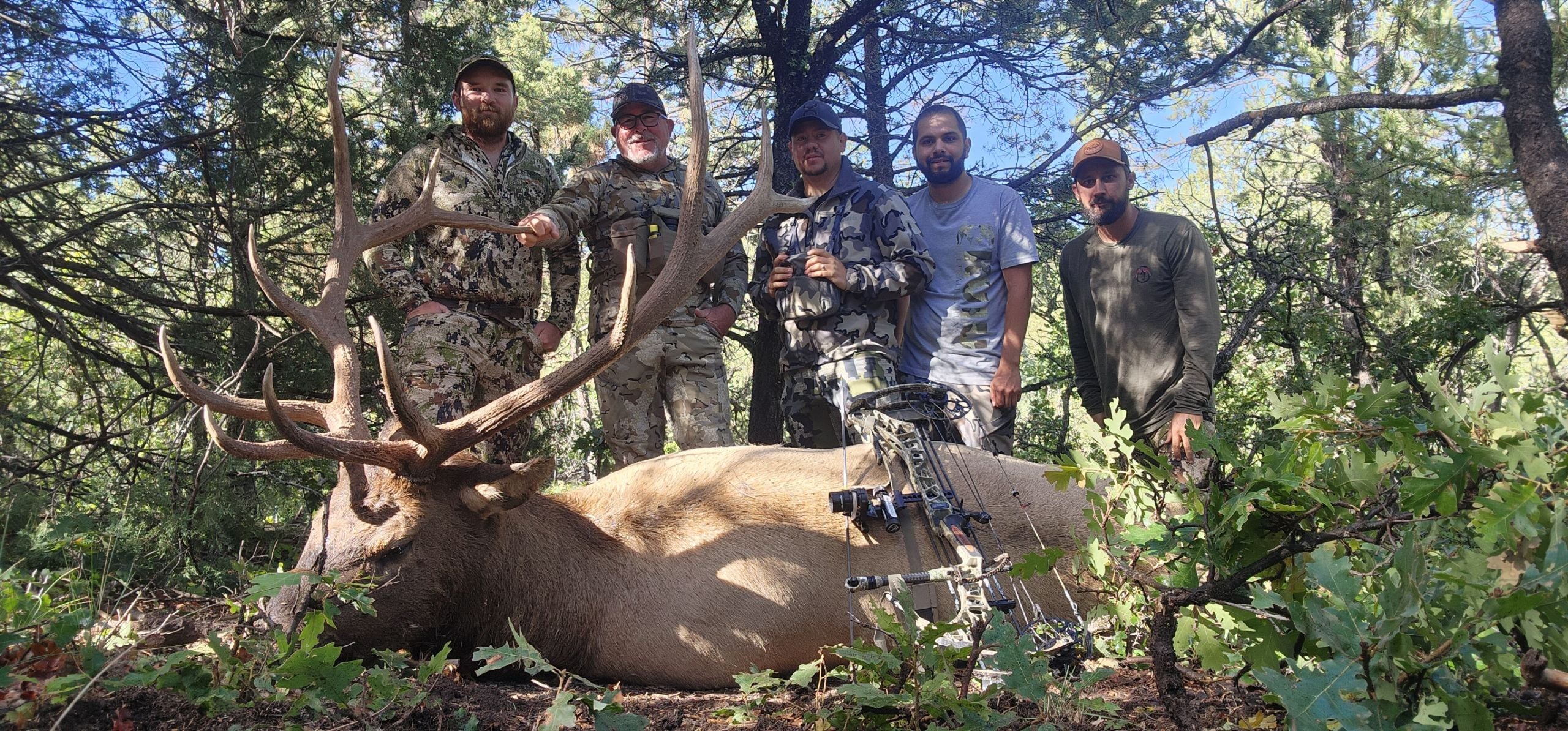 New Mexico Unit 6A archery ranch bull elk