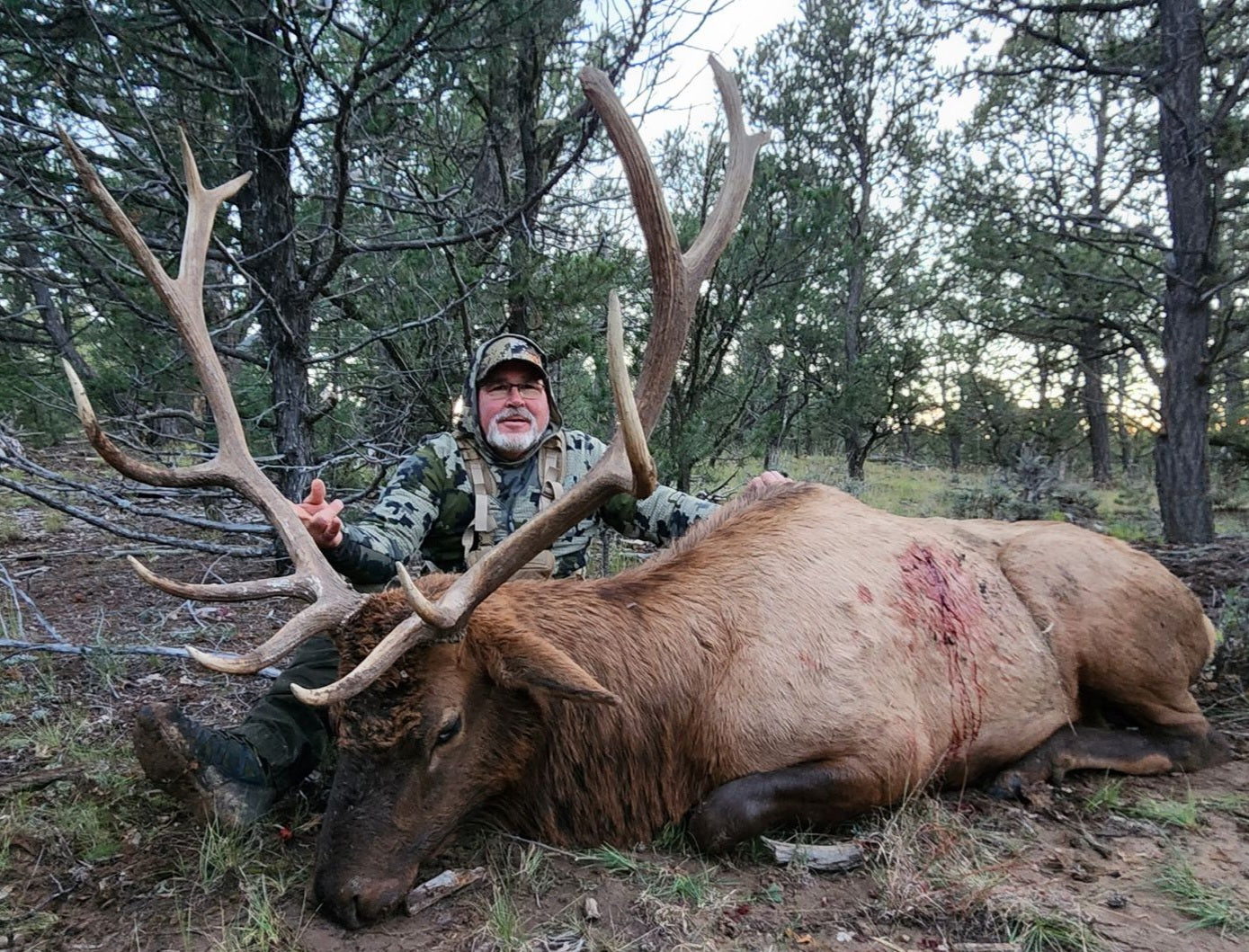 New Mexico Unit 6A rifle bull elk