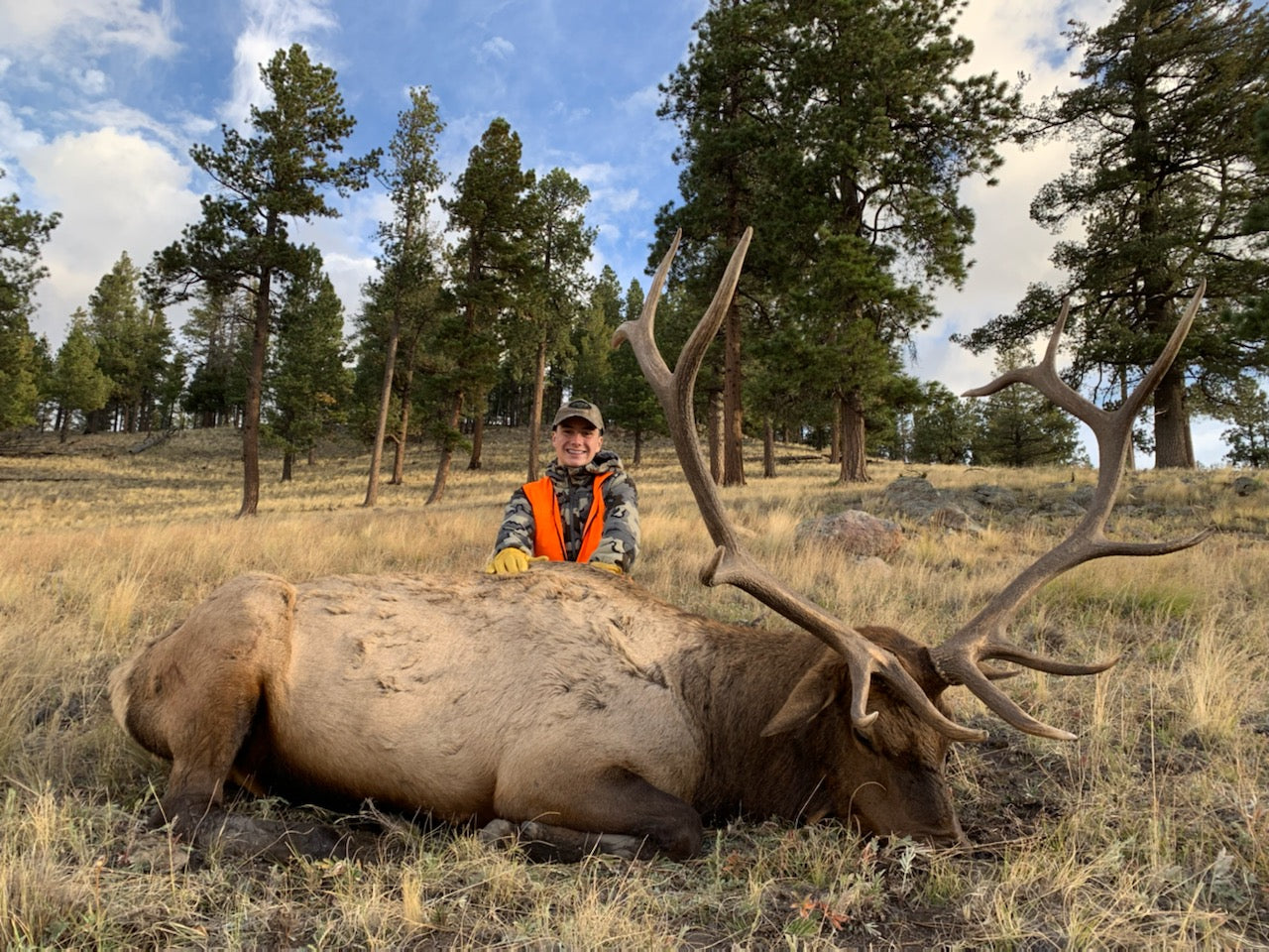 New Mexico Unit 6A bull elk