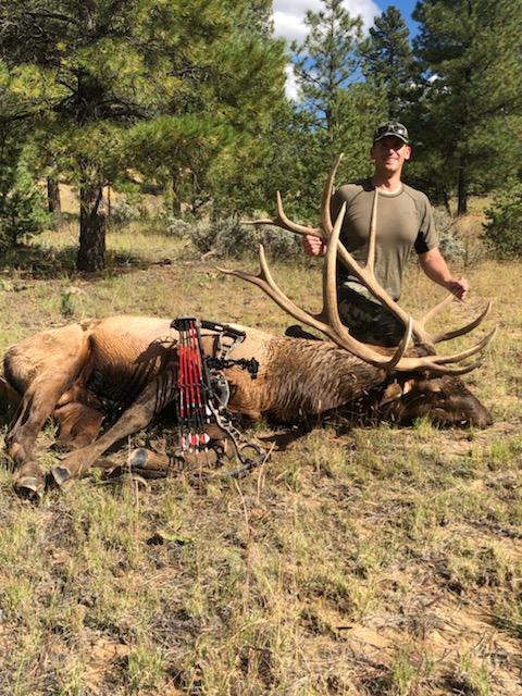 New Mexico Unit 7 archery bull elk