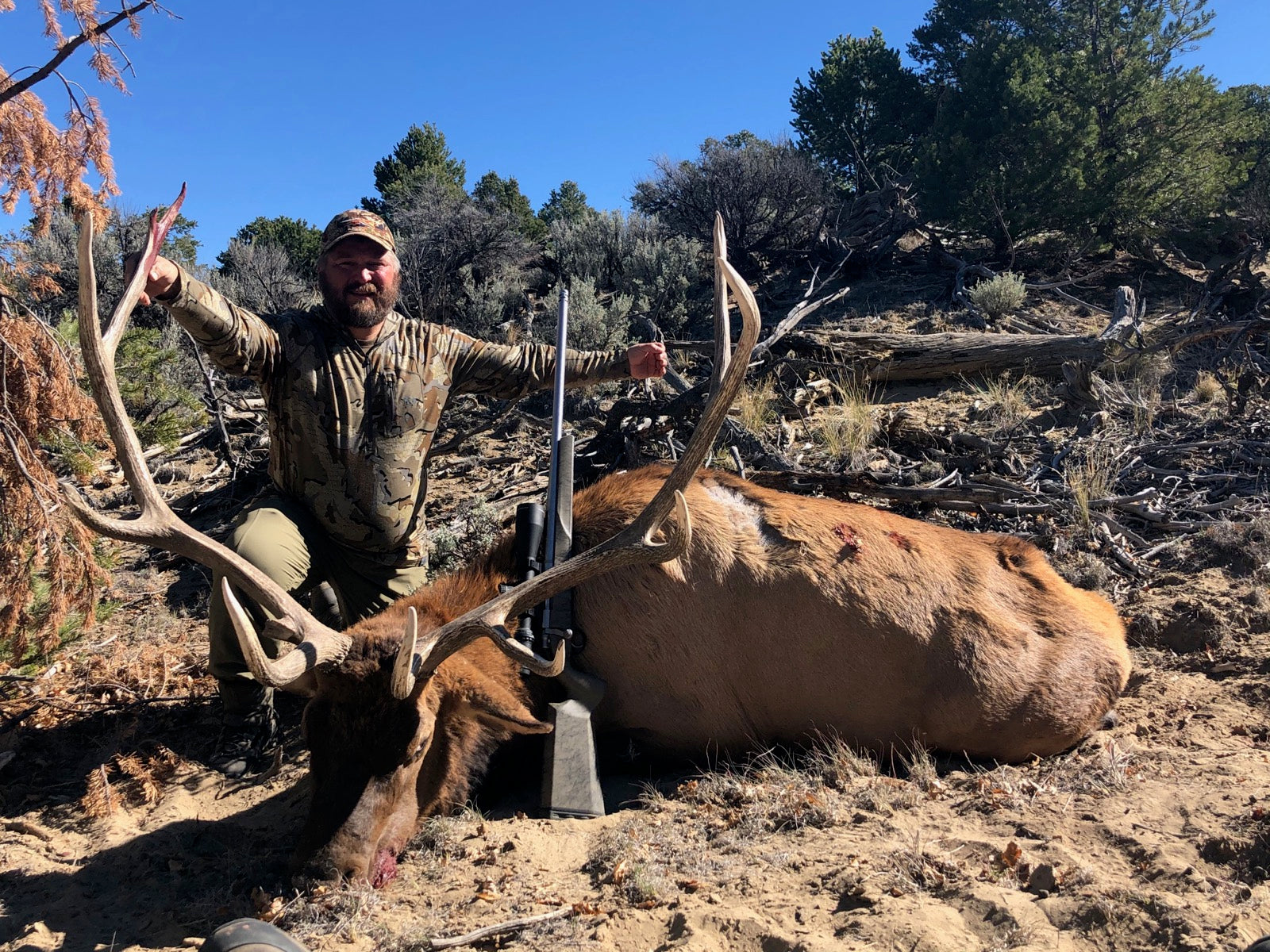 New Mexico Unit 7 ranch bull elk